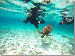 DCIM\100GOPRO\GOPR1595.JPG