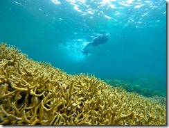 DCIM\100GOPRO\GOPR1616.JPG