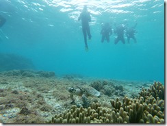 GOPR0275