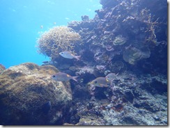 PC080011