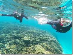 t/sdcard/DCIM/100GOPRO/GOPR0207
