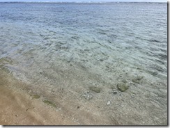 S__28172300