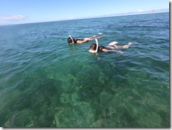 GOPR0282