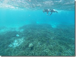 t/sdcard/DCIM/100GOPRO/GOPR9508