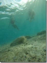 DCIM\100GOPRO\GOPR5619.JPG