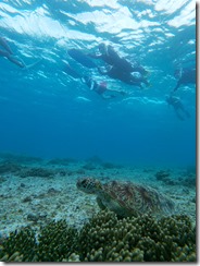 t/sdcard/DCIM/100GOPRO/GOPR6825