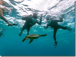 t/sdcard/DCIM/100GOPRO/GOPR6838