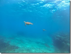 DCIM\100GOPRO\G0035687.JPG