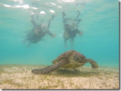 DCIM\100GOPRO\G0076677.JPG