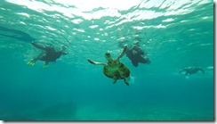 GOPR8682_Moment-2