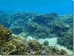 P1210010