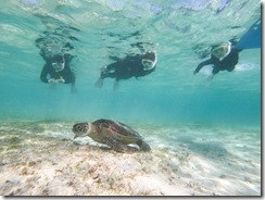 DCIM\100GOPRO\G0087612.JPG