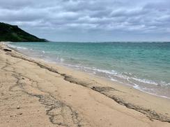 IMG_6779.jpg
