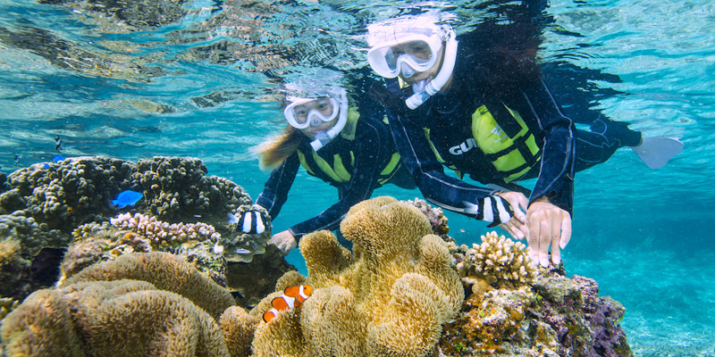 Snorkel Tour to Enjoy the Amazing Corals