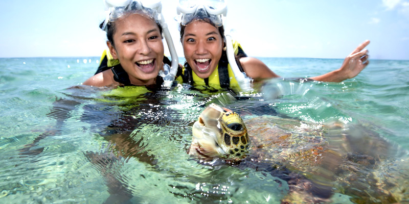 在宮古島和海龜一起悠游浮潛