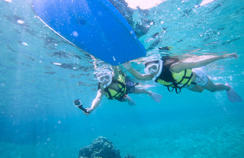 You can see the sea turtles in relatively shallow waters.