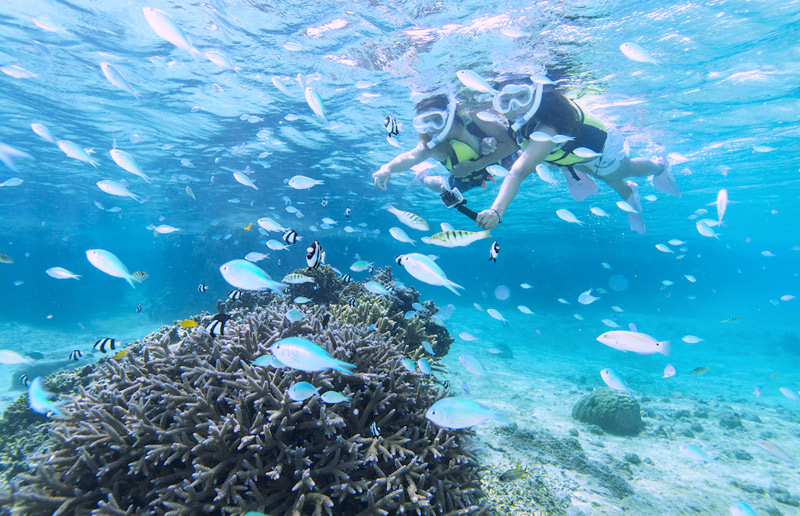 We'll take you to a spectacular coral reef point.