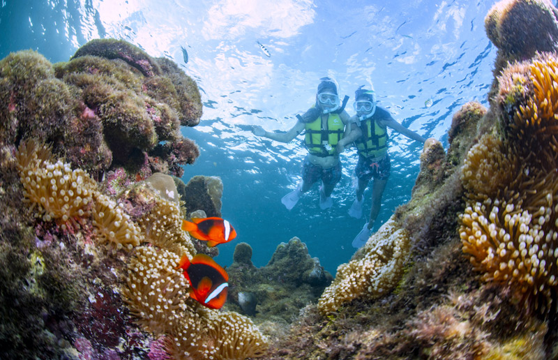 An amazing time seeing the beautiful coral reef.