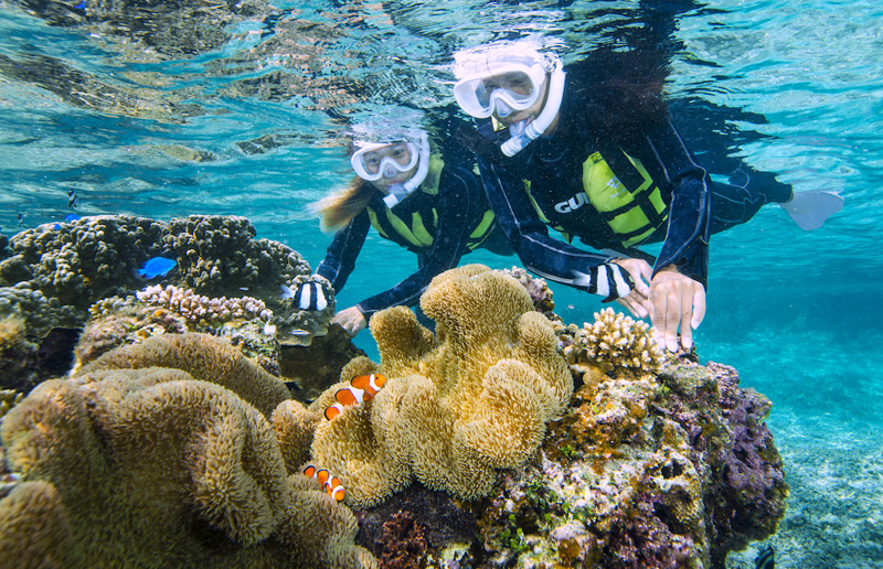 An amazing time seeing the beautiful coral reef.