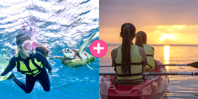 Sea Turtle Snorkeling + Sunset Kayak