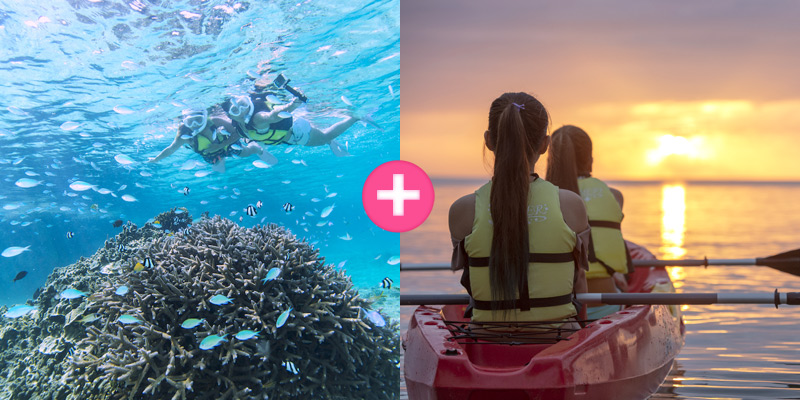 Coral Snorkeling + Sunset Kayak