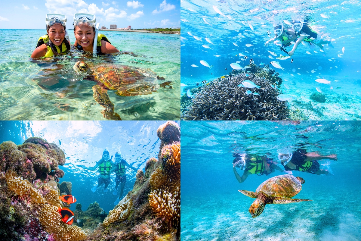 ウミガメシュノーケル＆お魚サンゴシュノーケル