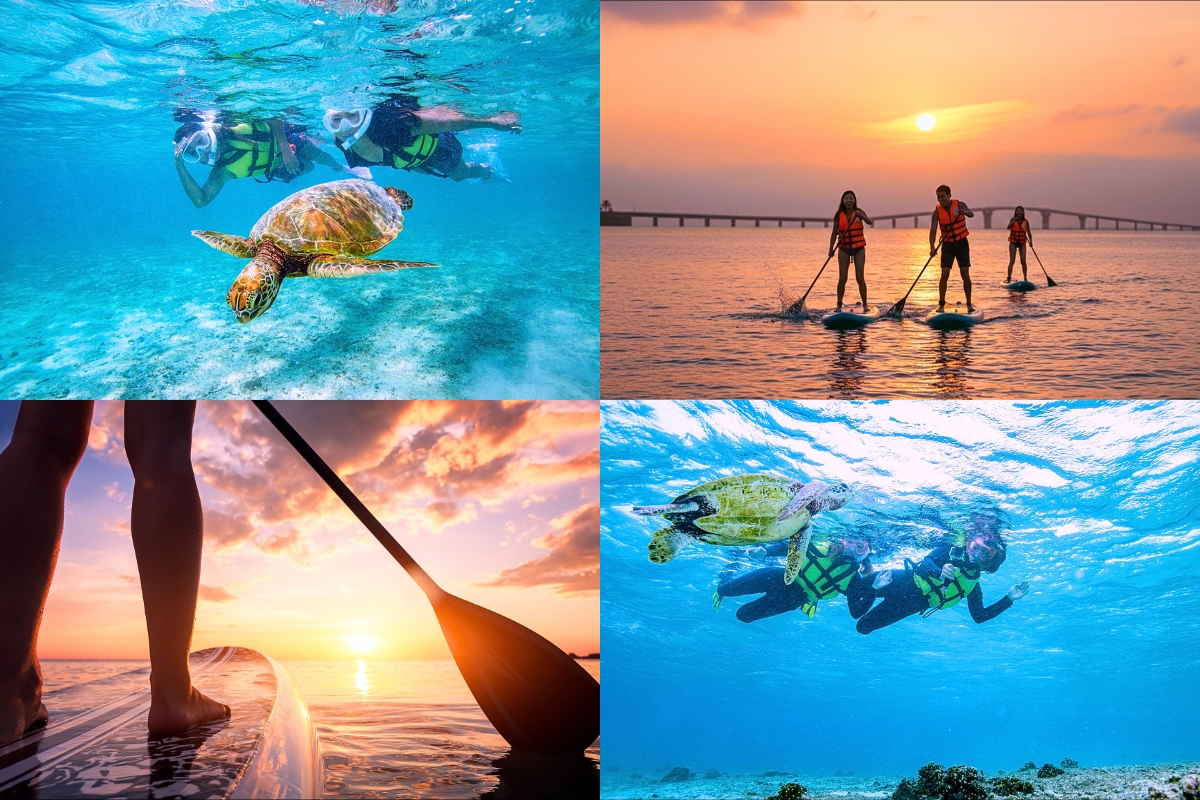 ウミガメシュノーケル＆＋サンセットSUP